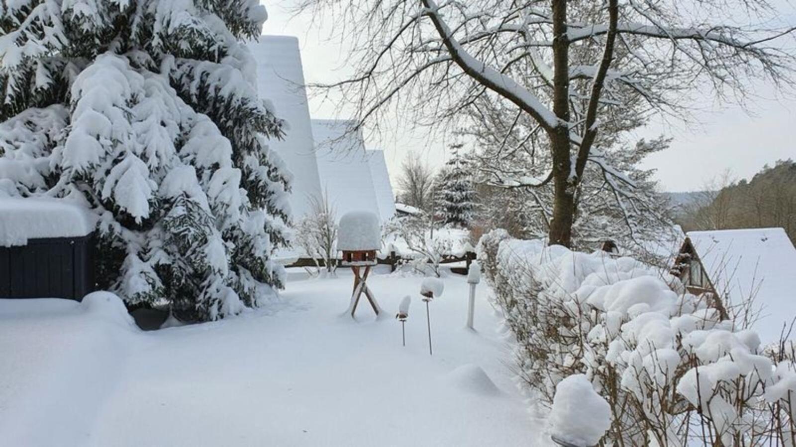Ferienhaus Am Wald Ronshausen Eksteriør billede